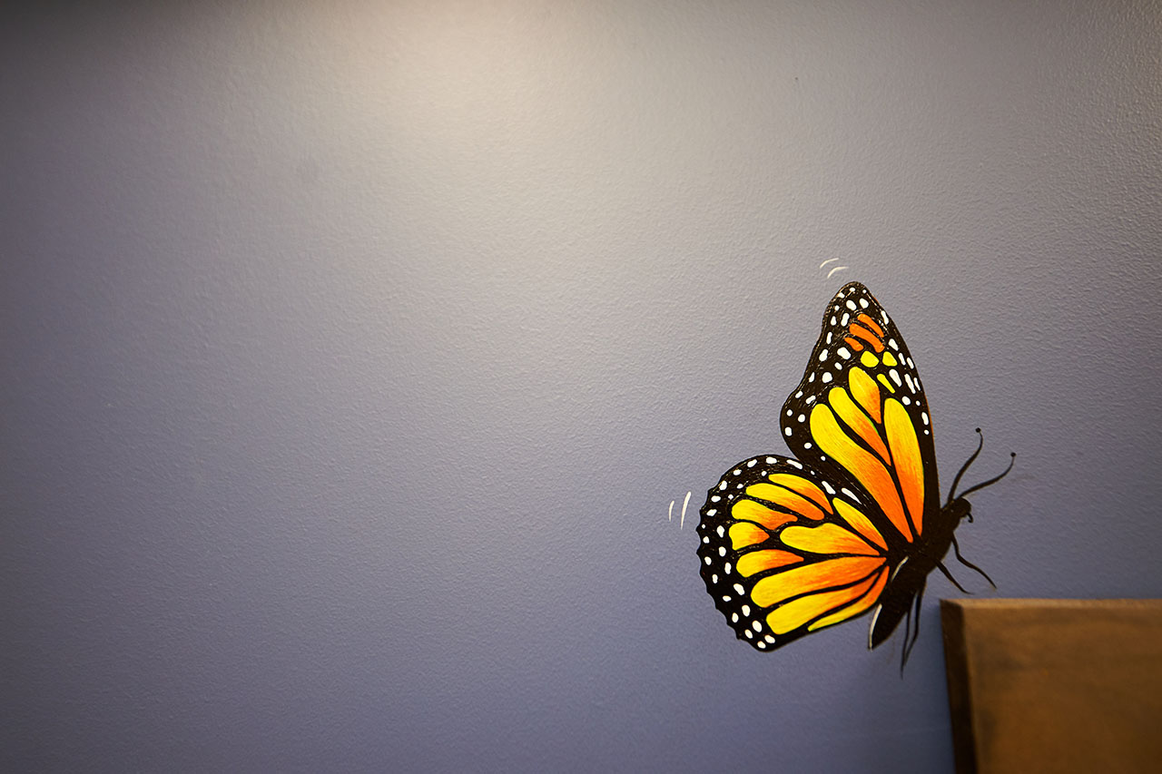 Painted Butterfly on the Wall