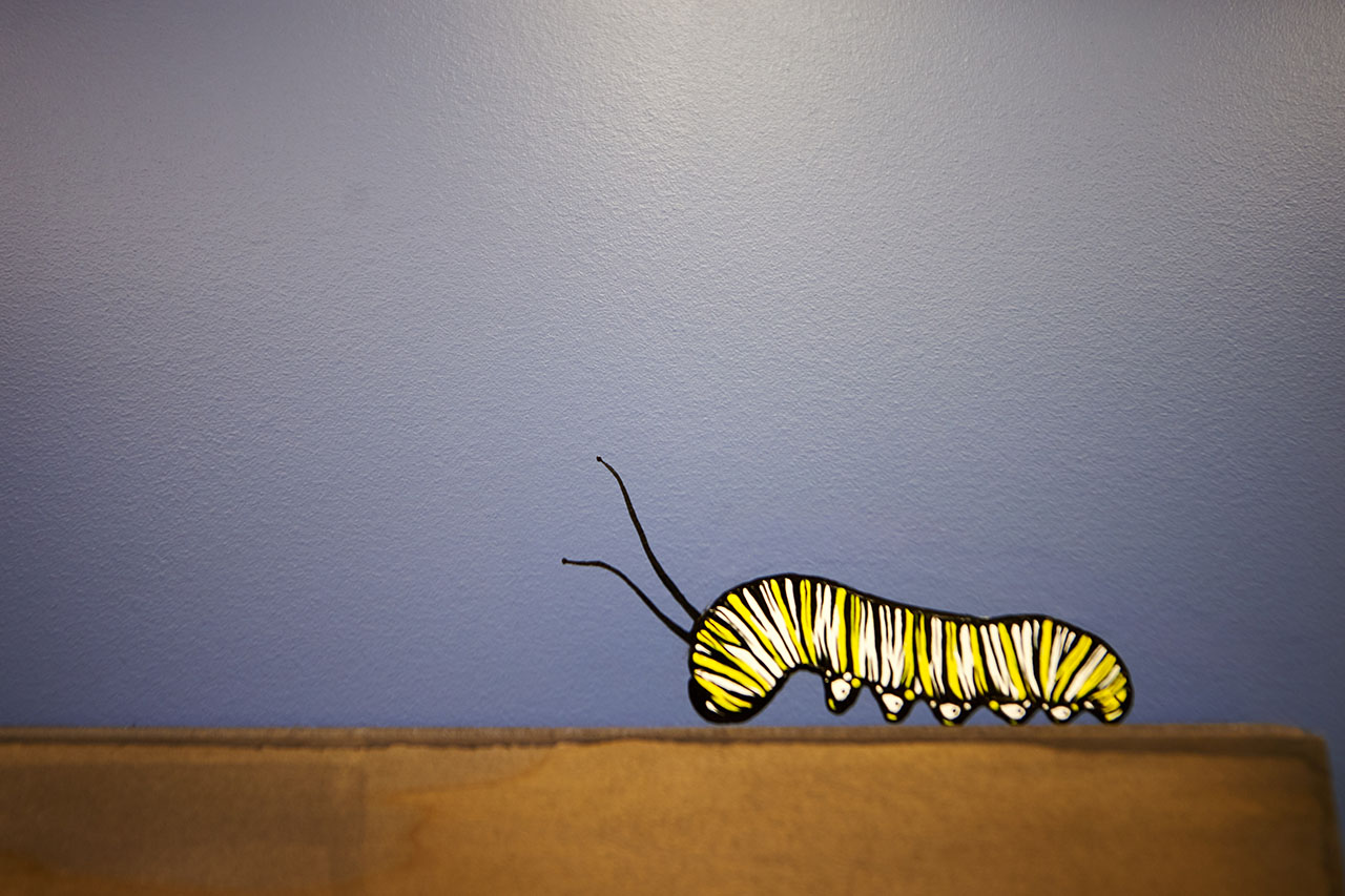 Caterpillar on Wall Painted Bright